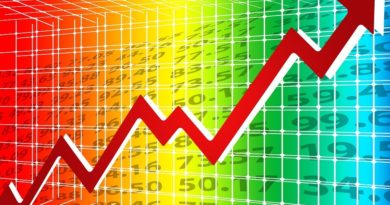 Cos'è l'economia