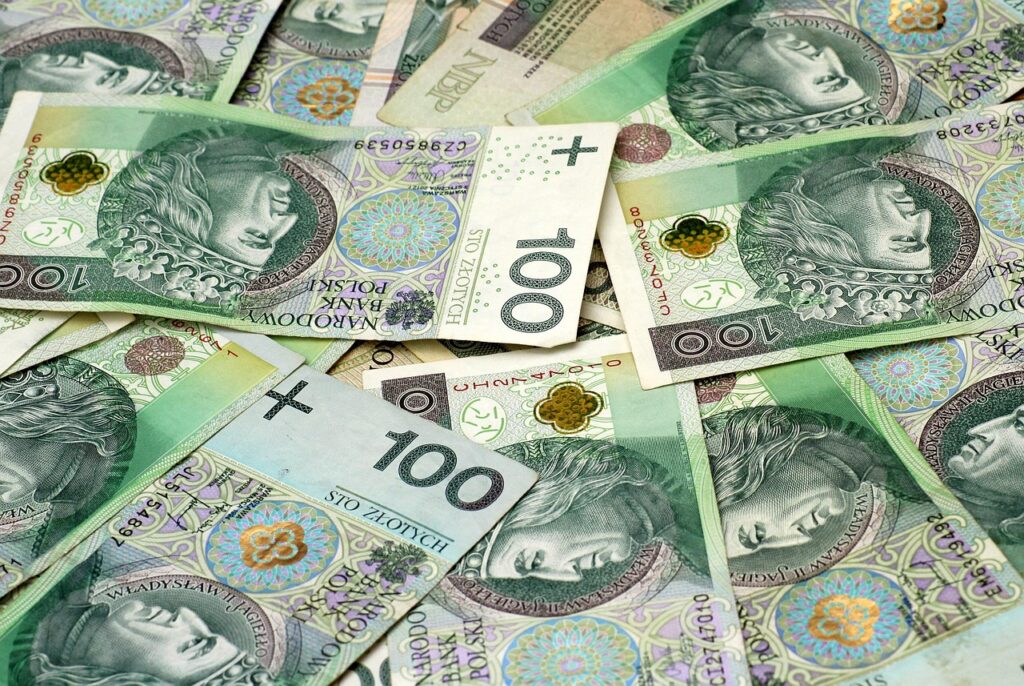 Bonifico in valuta diversa dall’euro