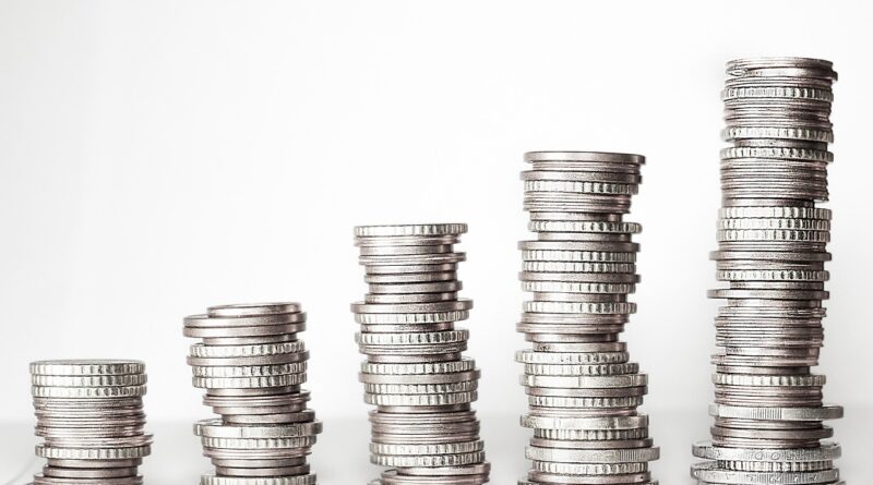 TER (Total Expense Ratio)
