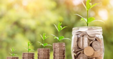 Piano di accumulo (PAC)
