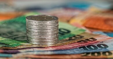 Fondi comuni di investimento