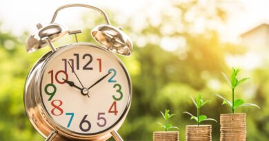 Commercialista online per Partita IVA