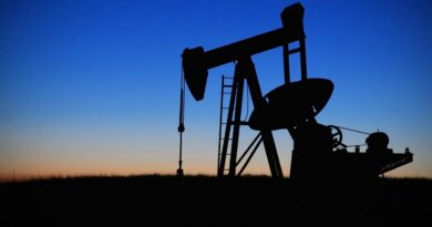 Petrolio e inflazione
